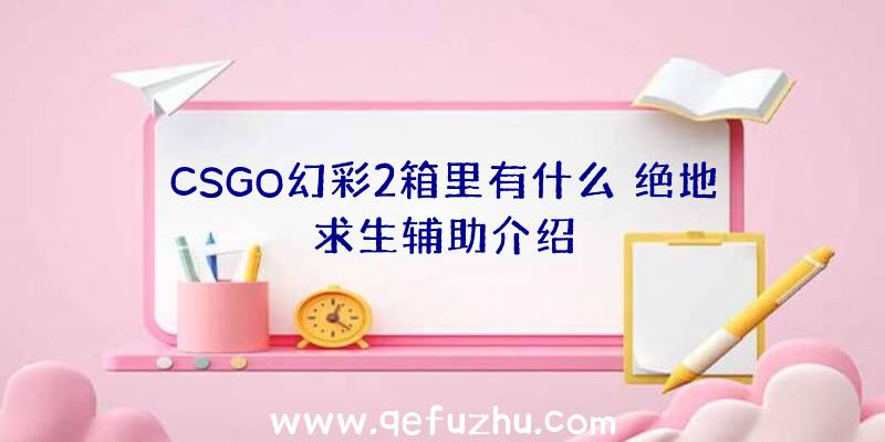 CSGO幻彩2箱里有什么